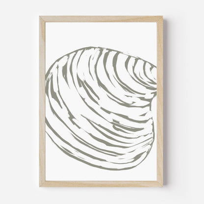 Modern Seashell Study, No. 1 - Jetty Home