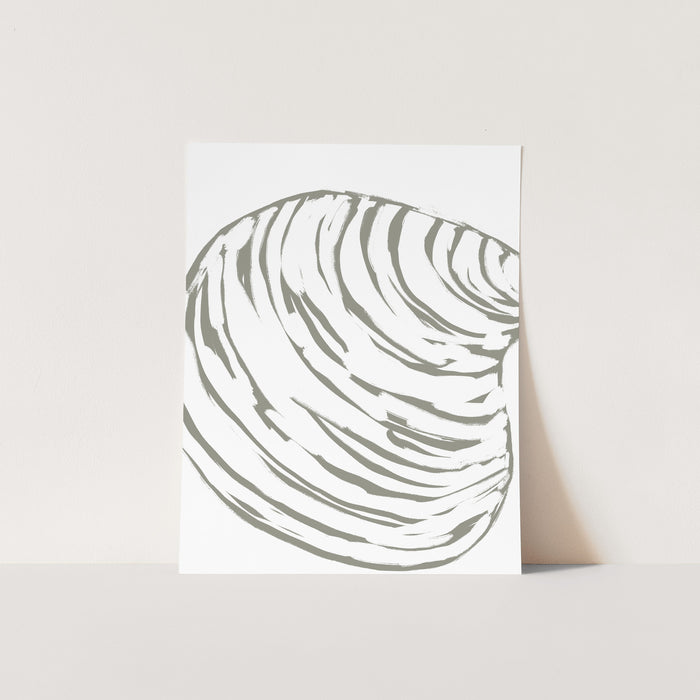 Modern Seashell Study, No. 1 - Jetty Home