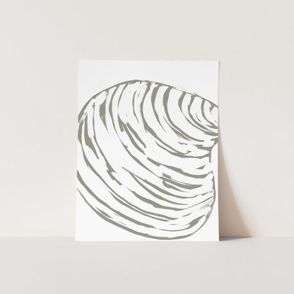 Modern Seashell Study, No. 1 - Jetty Home