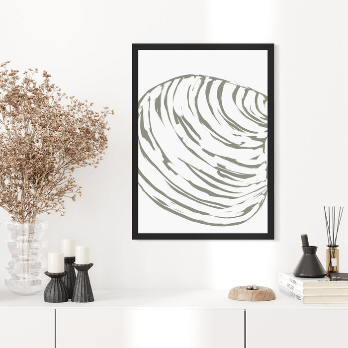Modern Seashell Study, No. 1 - Jetty Home