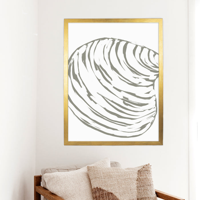Modern Seashell Study, No. 1 - Jetty Home