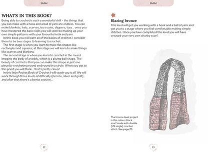 Penguin Random House Pocket Book of Crochet - 9781800920736 | Crochet at Michigan Fine Yarns