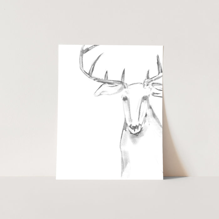 Reindeer Illustration - Jetty Home
