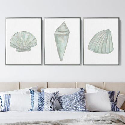 Seashell Trio, No. 1 - Set of 3 - Jetty Home