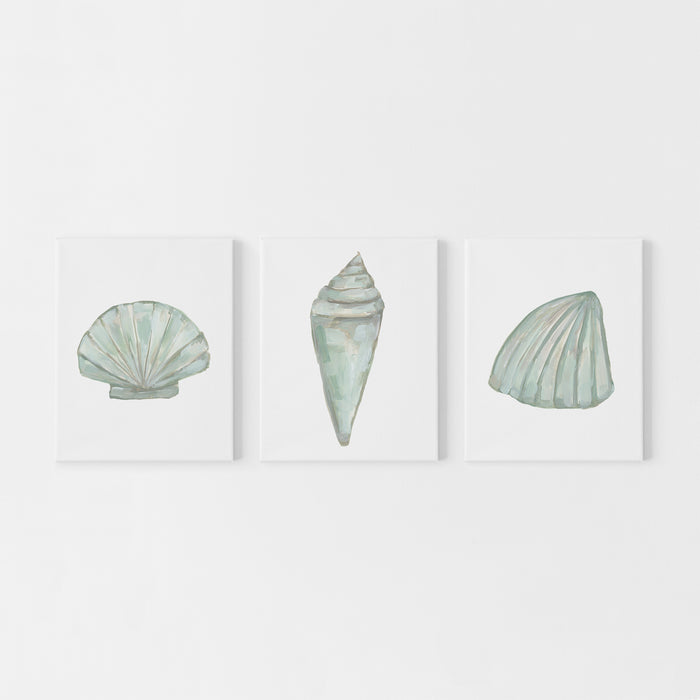 "Seashell Trio 1" - Set of 3 - Art Prints or Canvas - Jetty Home