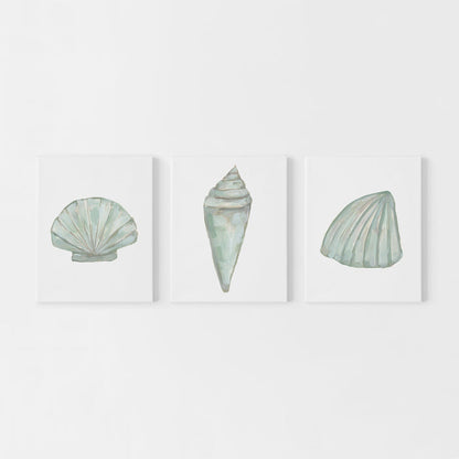 "Seashell Trio 1" - Set of 3 - Art Prints or Canvas - Jetty Home