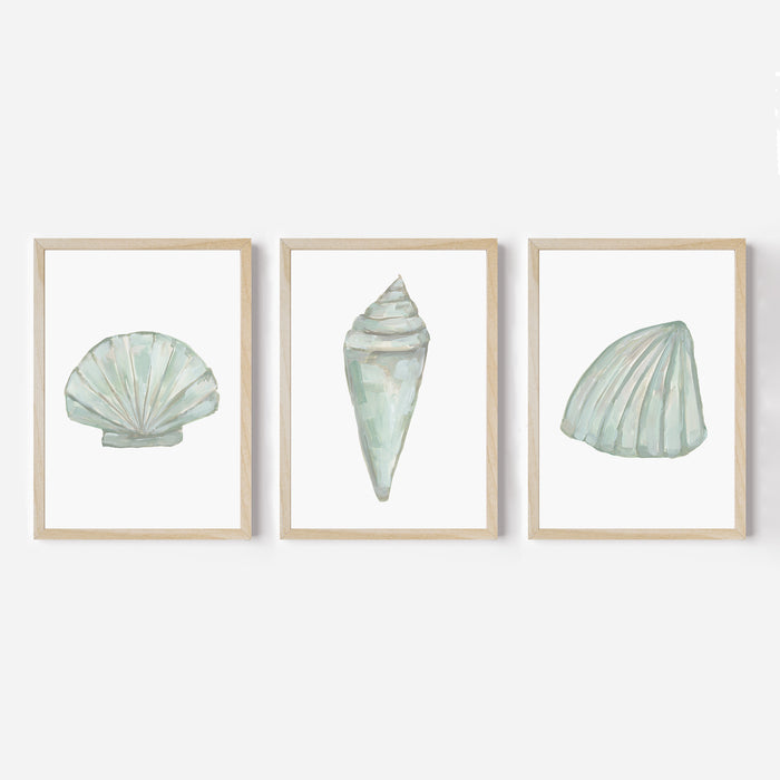 Seashell Trio, No. 1 - Set of 3 - Jetty Home