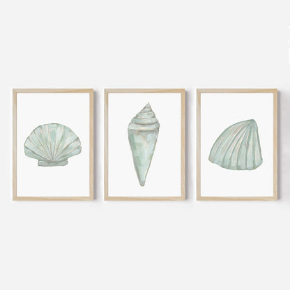 Seashell Trio, No. 1 - Set of 3 - Jetty Home