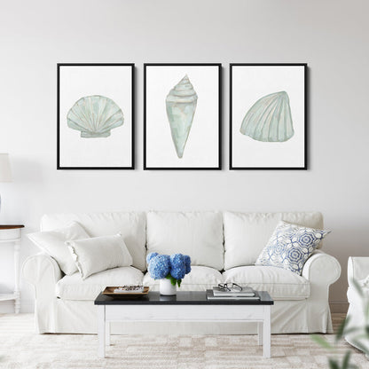 Seashell Trio, No. 1 - Set of 3 - Jetty Home