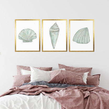 Seashell Trio, No. 1 - Set of 3 - Jetty Home