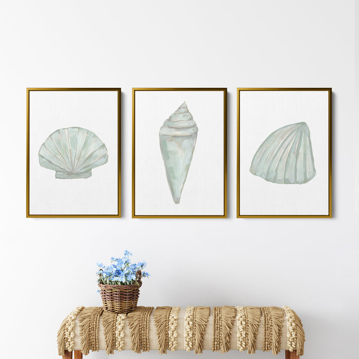 Seashell Trio, No. 1 - Set of 3 - Jetty Home