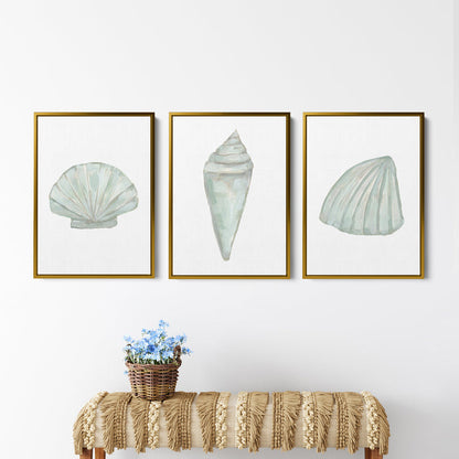 Seashell Trio, No. 1 - Set of 3 - Jetty Home