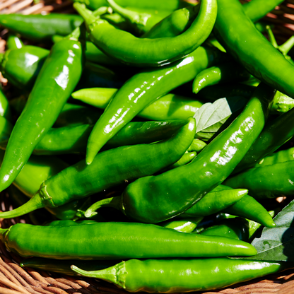 Spicy Green Chili Olive Oil
