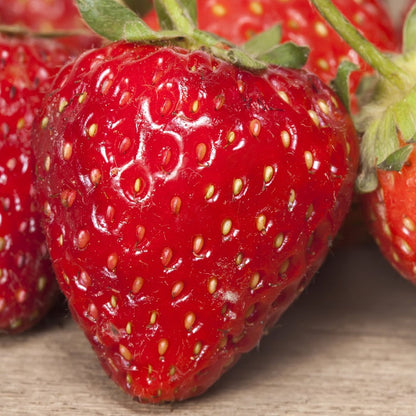 Strawberry Dark Balsamic