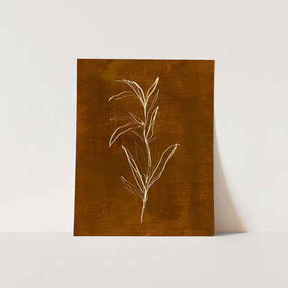 The Cozy Botanicals, No. 3 - Jetty Home