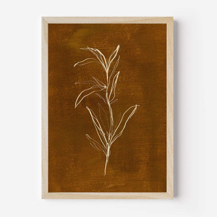 The Cozy Botanicals, No. 3 - Jetty Home