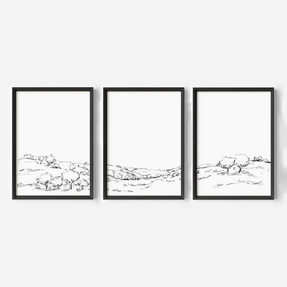 The Hillside Oak Trees - Set of 3 - Jetty Home