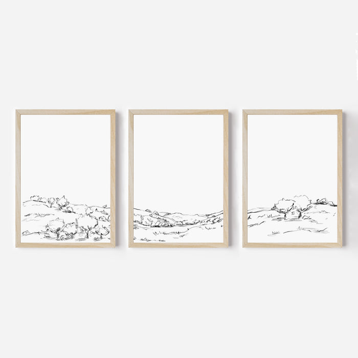 The Hillside Oak Trees - Set of 3 - Jetty Home