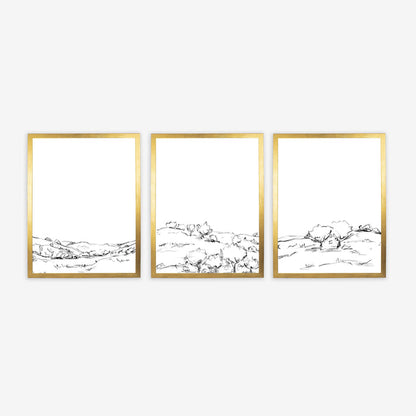 The Hillside Oak Trees - Set of 3 - Jetty Home