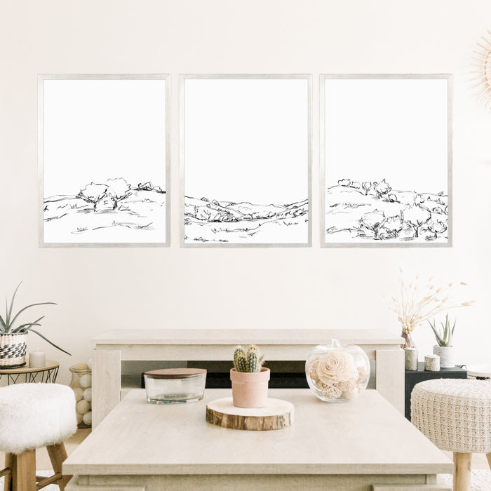 The Hillside Oak Trees - Set of 3 - Jetty Home