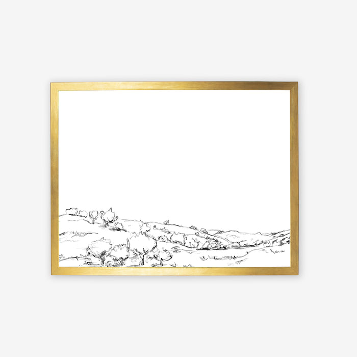 The Hillside Oak Trees Illustrations - Jetty Home