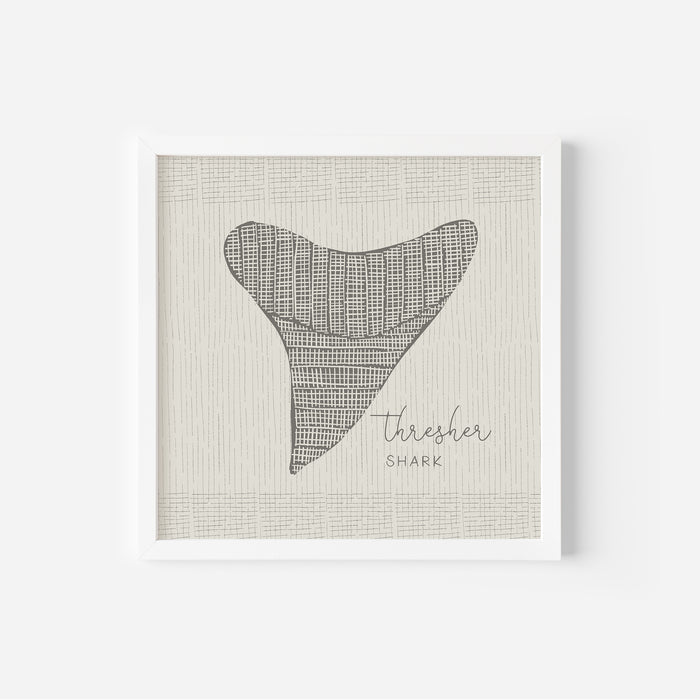Thresher Shark Tooth - Jetty Home