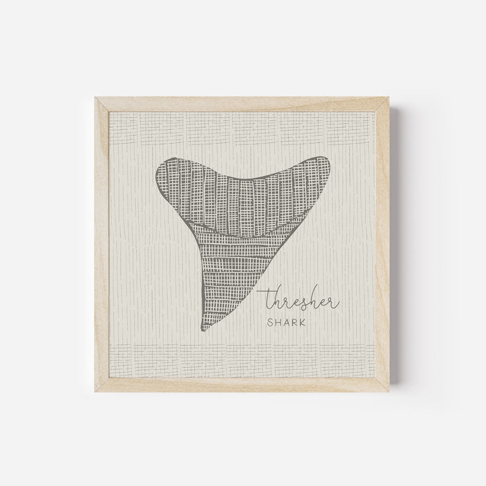 Thresher Shark Tooth - Jetty Home