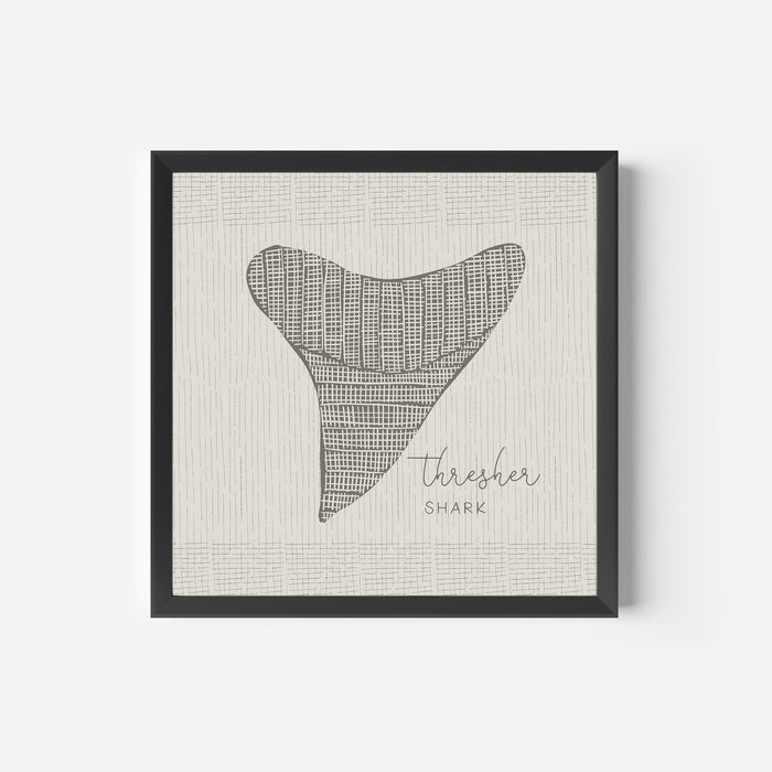 Thresher Shark Tooth - Jetty Home