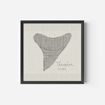Thresher Shark Tooth - Jetty Home