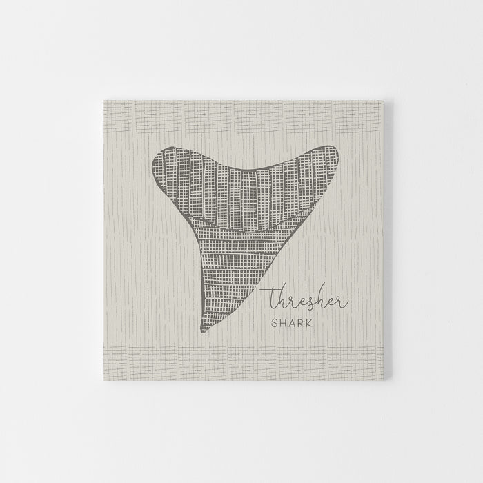 Thresher Shark Tooth  - Art Print or Canvas - Jetty Home