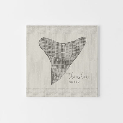 Thresher Shark Tooth  - Art Print or Canvas - Jetty Home