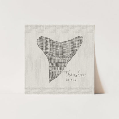 Thresher Shark Tooth  - Art Print or Canvas - Jetty Home