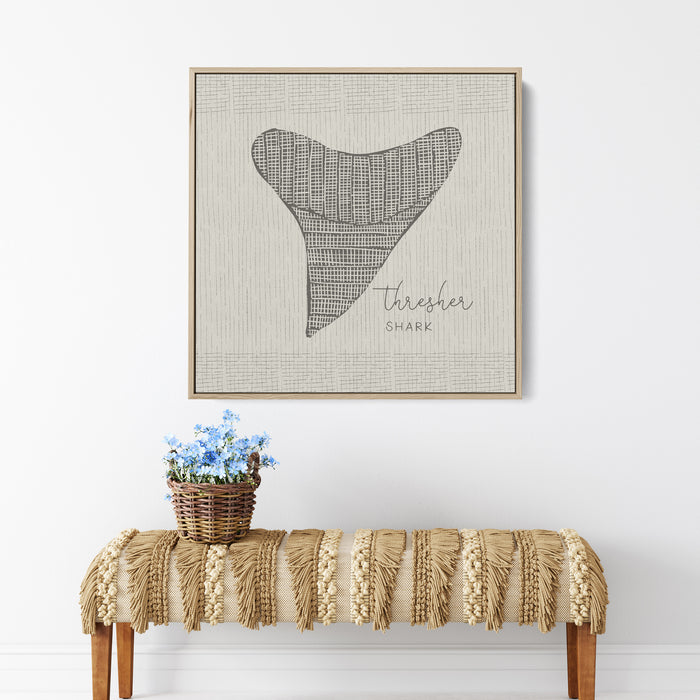 Thresher Shark Tooth - Jetty Home