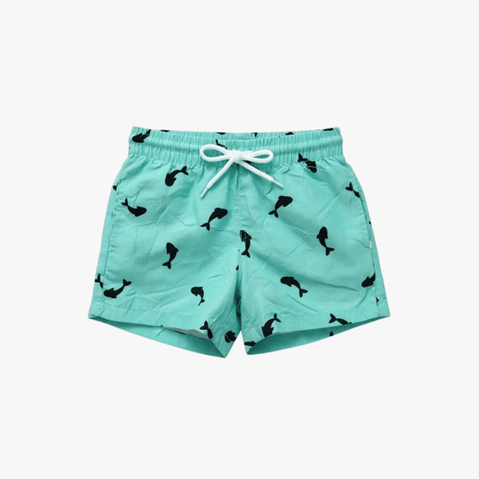 Venice Beach Boys Swim Shorts Turquoise | No Rules