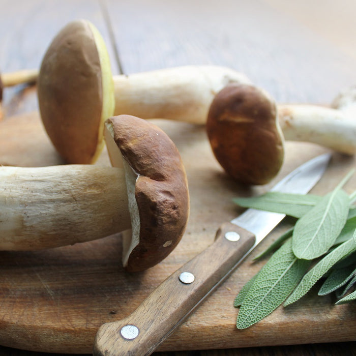 Wild Mushroom & Sage Olive Oil