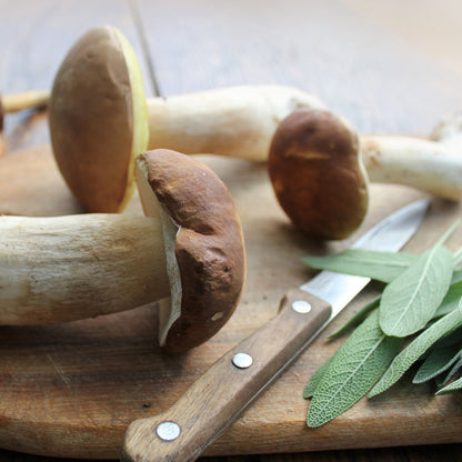 Wild Mushroom & Sage Olive Oil