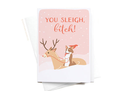 You Sleigh, B*tch Folded Greeting Note Set